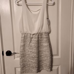 NWT bodycon dress